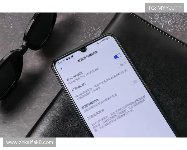 凯发网网站登录入口官方手机版，轻松实现随时随地畅玩游戏的便捷登录方式